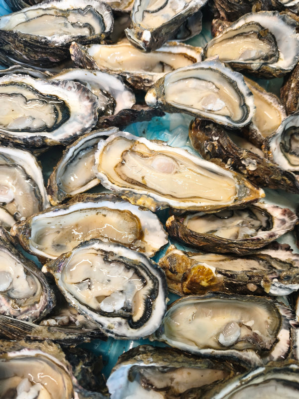 3 DOZ Oysters + 7kg Mussel Delivery Box