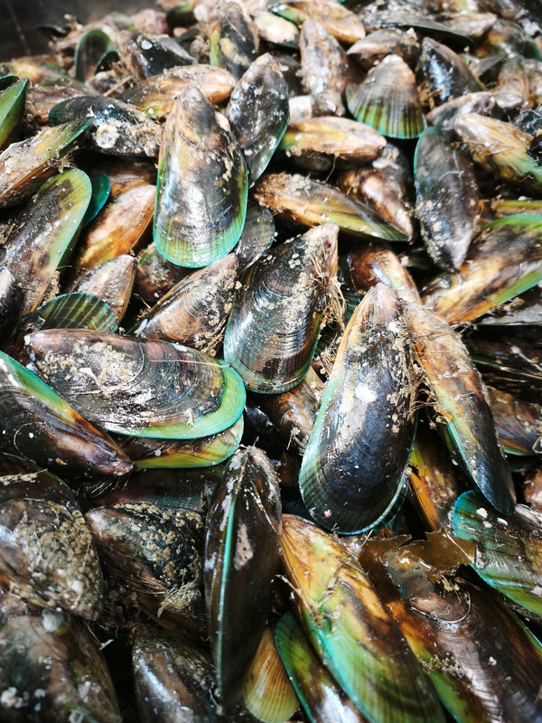 3 DOZ Oysters + 7kg Mussel Delivery Box
