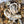 Load image into Gallery viewer, 3 DOZ (36) Wholeshell Oysters + 6kg Mussel Delivery Box
